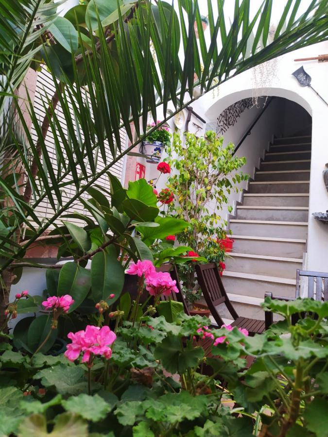 Casa Museo Jerez Centro Apartment Jerez de la Frontera Bagian luar foto