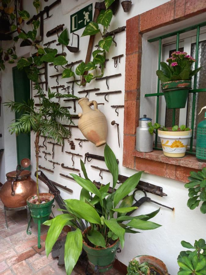 Casa Museo Jerez Centro Apartment Jerez de la Frontera Bagian luar foto